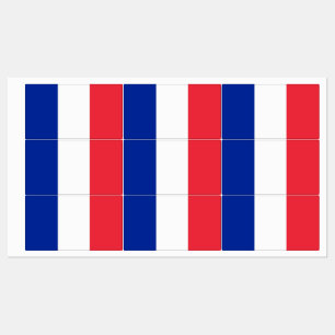 Patriotic labels with flag of France