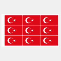 Patriotic labels with flag of Turkey