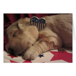 Patriotic Lucy