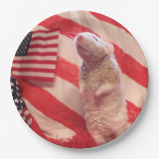 Patriotic Murray Paper Plate