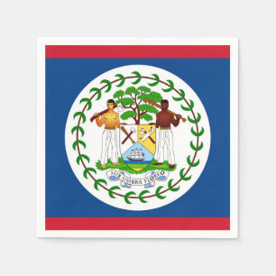 Patriotic paper napkins with flag of Belize