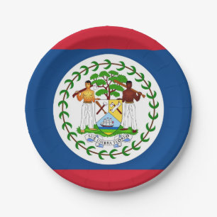 Patriotic paper plate with flag of Belize