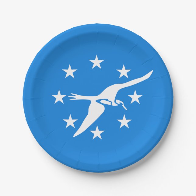 Patriotic paper plate with flag of Corpus Christi (Front)