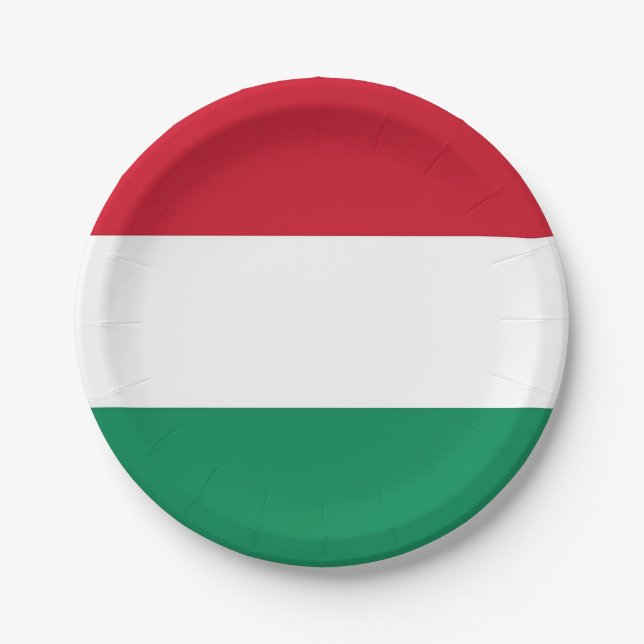 Patriotic paper plate with flag of Hungary (Front)
