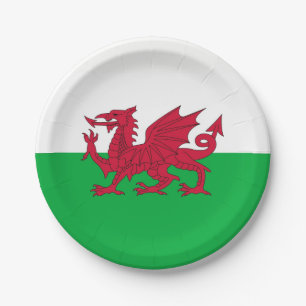 Patriotic paper plate with flag of Wales