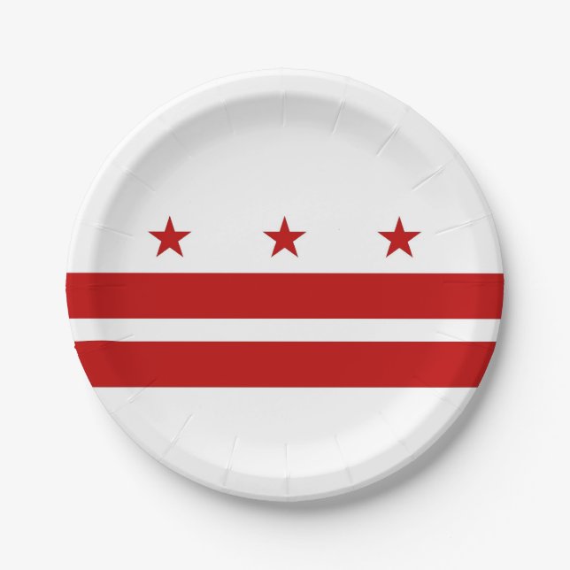 Patriotic paper plate with Washington DC flag (Front)