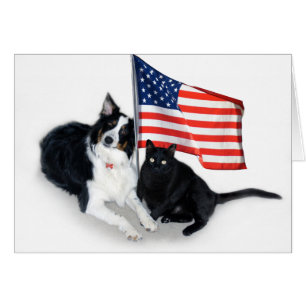 Patriotic Pets