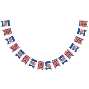 Patriotic Pickleball Red White Blue American Flag