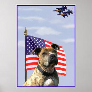 Patriotic pitbull poster
