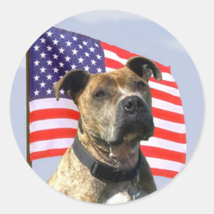 Patriotic pitbull stickers