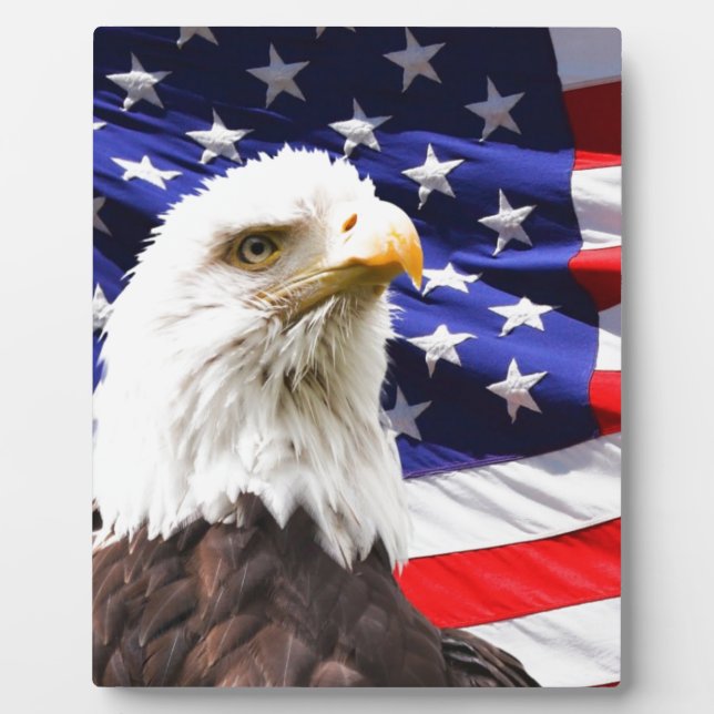 Patriotic Plaque (Front)