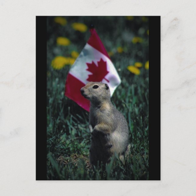 Patriotic Postcard (Front)