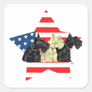 Patriotic Scottish Terriers on Star Square Sticker