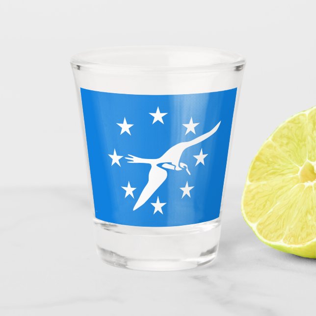 Patriotic shot glass with flag of Corpus Christi (Front)