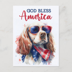Patriotic Spaniel Dog, God Bless America Postcard