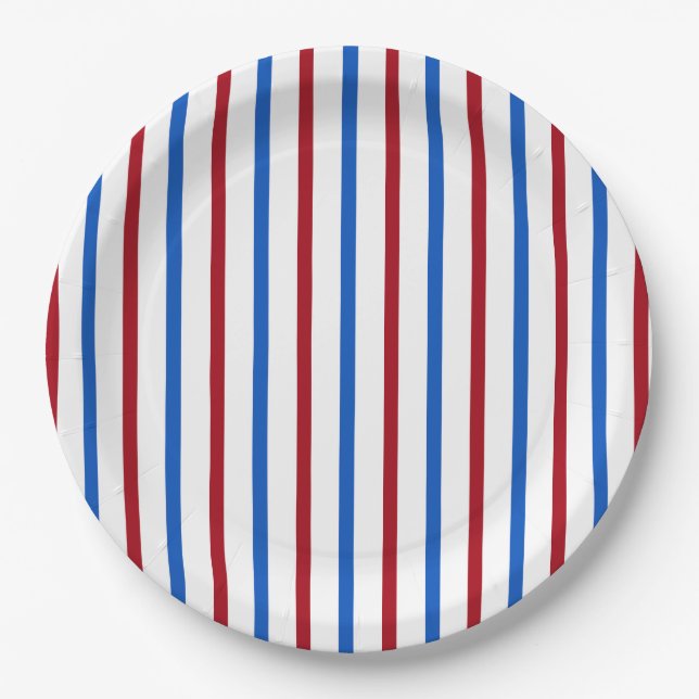 Patriotic Stripe Paper Plate (Front)