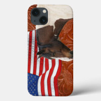 Patriotic US Flag, Pinto & Faux Leather