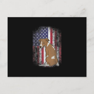 Patriotic Whippet American Flag Dog Lover Gift Holiday Postcard