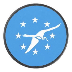 Patriotique hockeyeuse avec drapeau de Corpus Chri