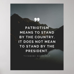 Patriotism means to stand by the country poster