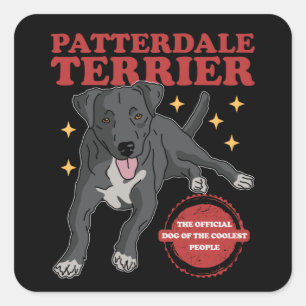 Patterdale Terrier Dog Of The Coolest Patterdales Square Sticker