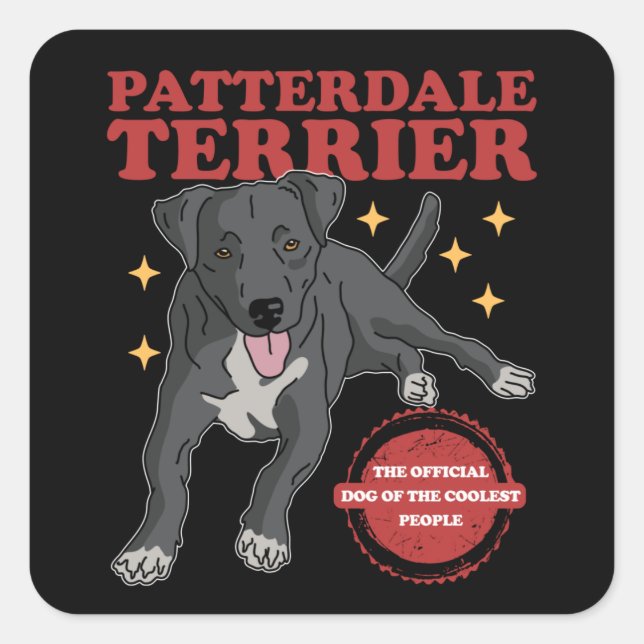 Patterdale Terrier Dog Of The Coolest Patterdales Square Sticker (Front)