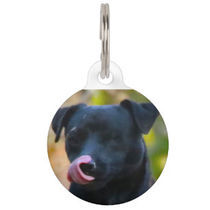 Patterdale Terrier. Pet Tag