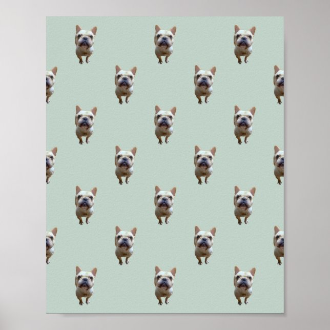 pattern_2_french bulldog_2 matte poster (Front)