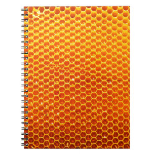 Pattern of a section of wax honeycomb from a bee h notebook