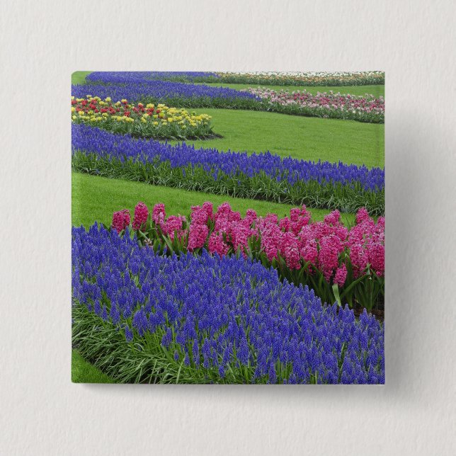 Pattern of Grape Hyacinth, tulips, and 2 Inch Square Button (Front)