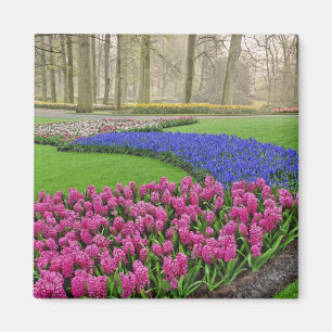 Pattern of Grape Hyacinth, tulips, and 2 Magnet