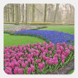 Pattern of Grape Hyacinth, tulips, and 2 Square Sticker