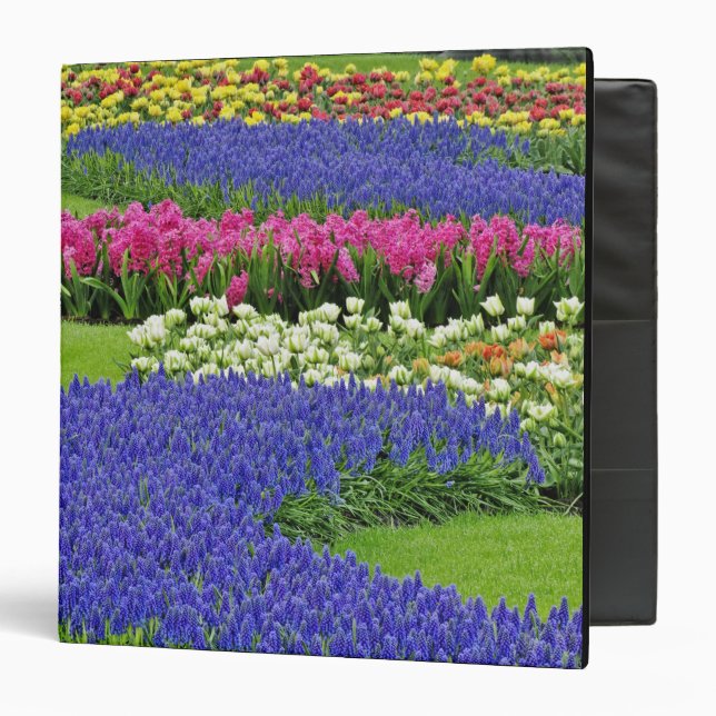 Pattern of Grape Hyacinth, tulips, and 3 Binder (Front/Inside)