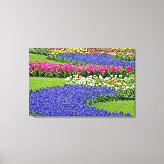 Pattern of Hyacinth and Tulip flowers in Keukenhof Canvas Print (Front)