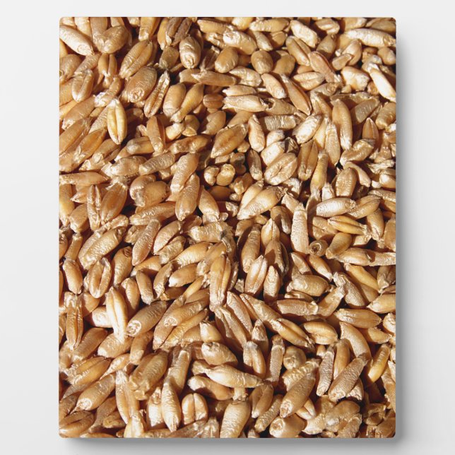 pattern of many small fresh wheat grains plaque (Front)
