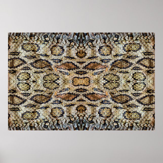 pattern of snake skin. Vintage animal print (Front)