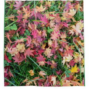 Pattern of the falling leaves