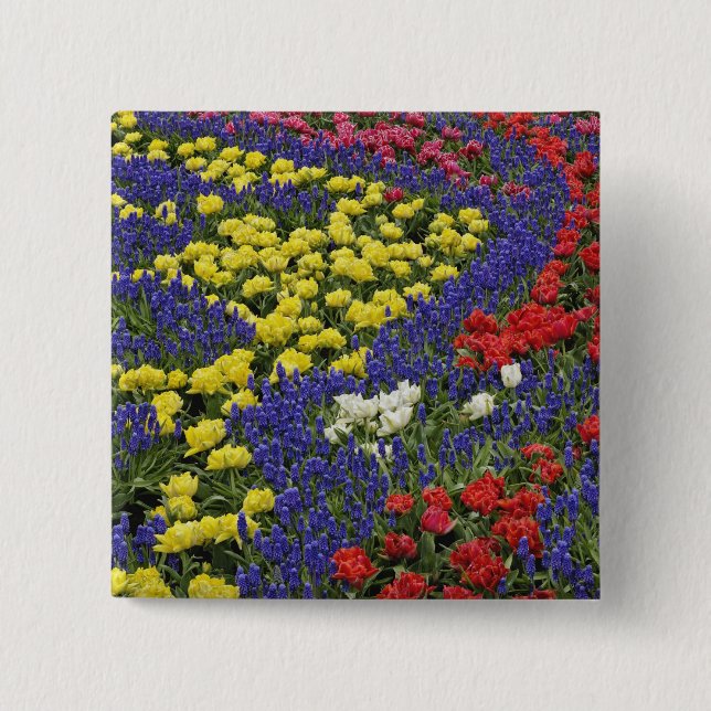 Pattern of tulips and Grape Hyacinth flowers, 2 Inch Square Button (Front)