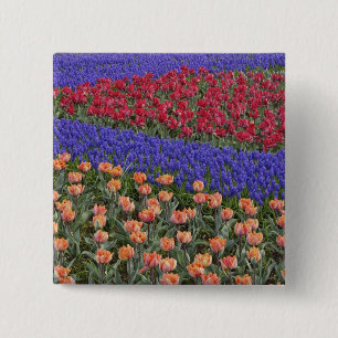 Pattern of tulips and Grape Hyacinth flowers, 3 2 Inch Square Button