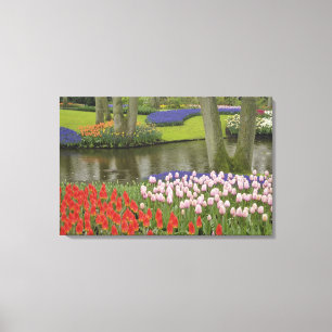 Pattern of tulips and grape hyacinth flowers, canvas print