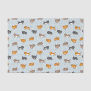 pattern with funny cats tissue paper
