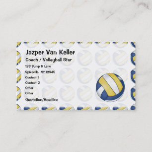Pattern with Painted Volleyball Business Card