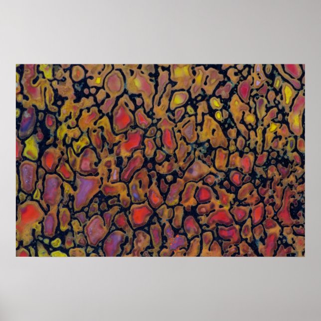 Patterned Dinosaur Bone Poster (Front)