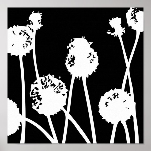 Patterns from nature 26 poster (Front)