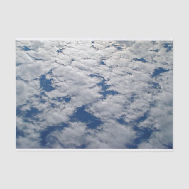 Patterns in the Sky by Shirley Taylor Tissue Paper (Front)