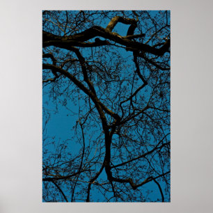 Patterns in the sky poster