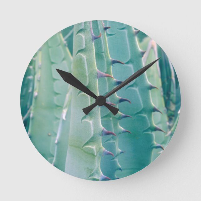 Patterns of an Agave plant Round Clock (Front)