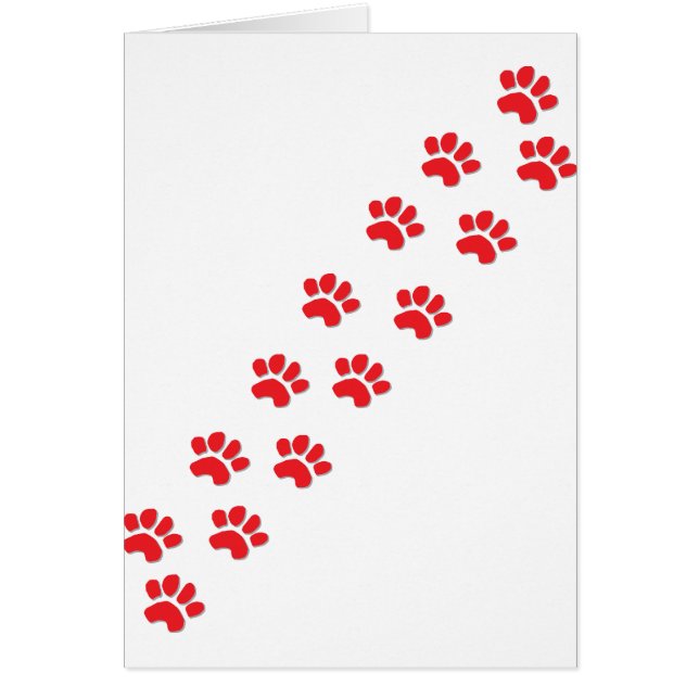 Pattes de chat Kitty (Devant)