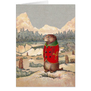 Pattes de paddy dans la ville de chien de prairie