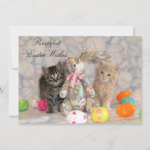 Patton & Buffington Easter Cat Holiday Card